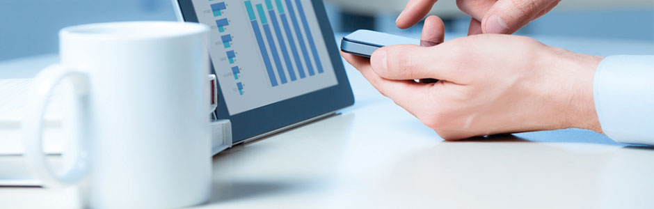 Software Development